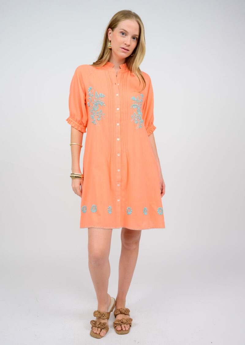 PICTURE PERFECT DRESS